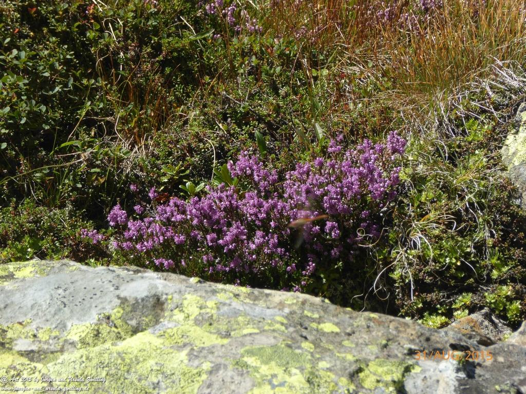 Philosophische Bildwanderung Nürnberger Hütte im Stubaital