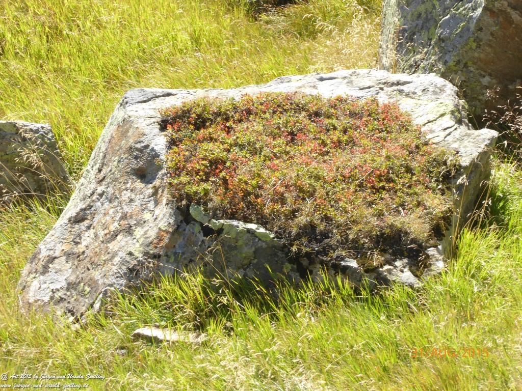 Philosophische Bildwanderung Nürnberger Hütte im Stubaital