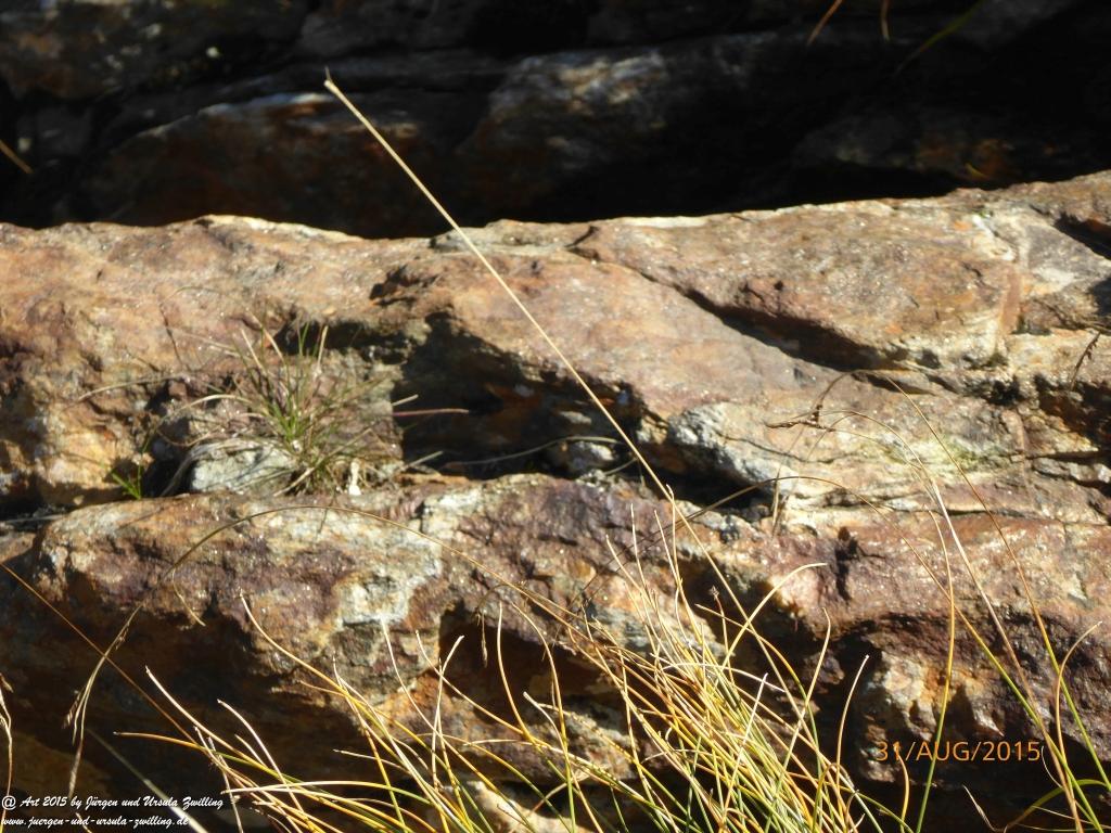Philosophische Bildwanderung Nürnberger Hütte im Stubaital