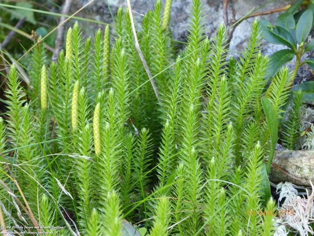 Philosophische Bildwanderung Nürnberger Hütte im Stubaital