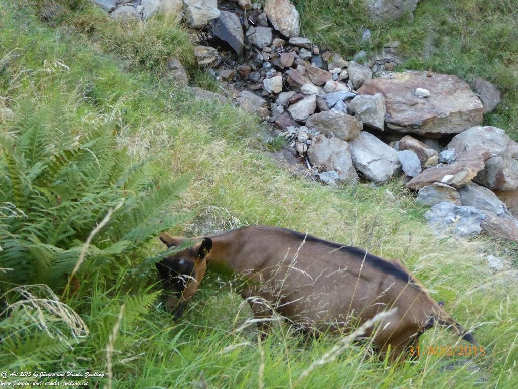 Philosophische Bildwanderung Nürnberger Hütte im Stubaital