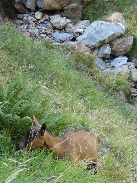 Philosophische Bildwanderung Nürnberger Hütte im Stubaital
