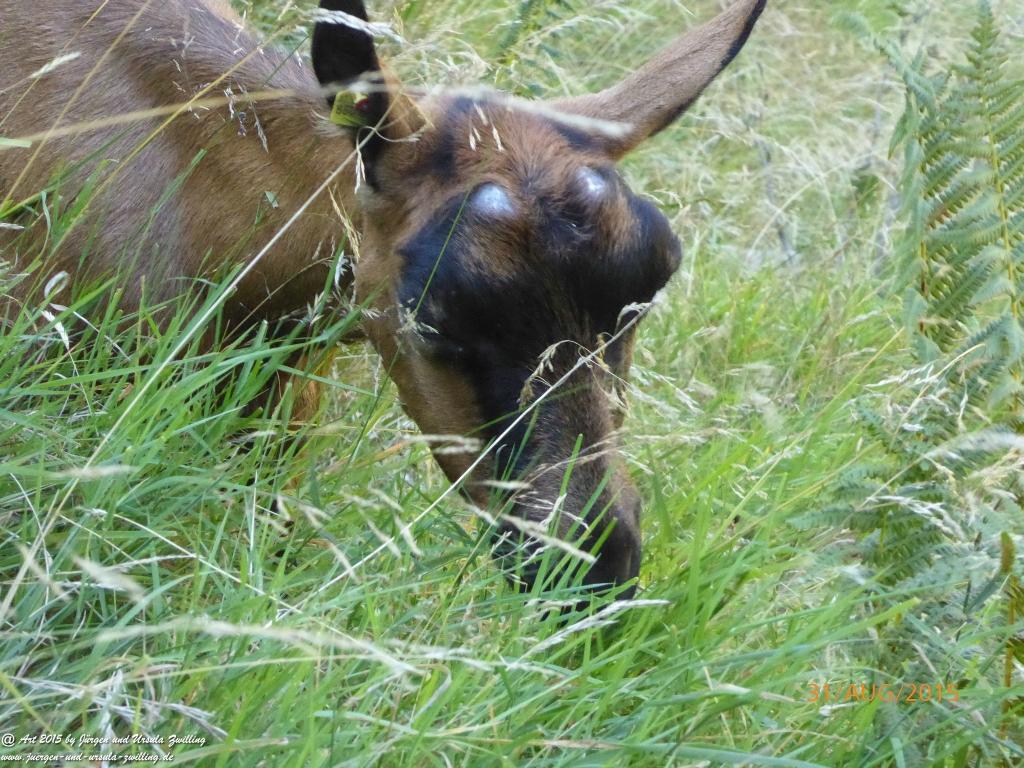 Philosophische Bildwanderung Nürnberger Hütte im Stubaital