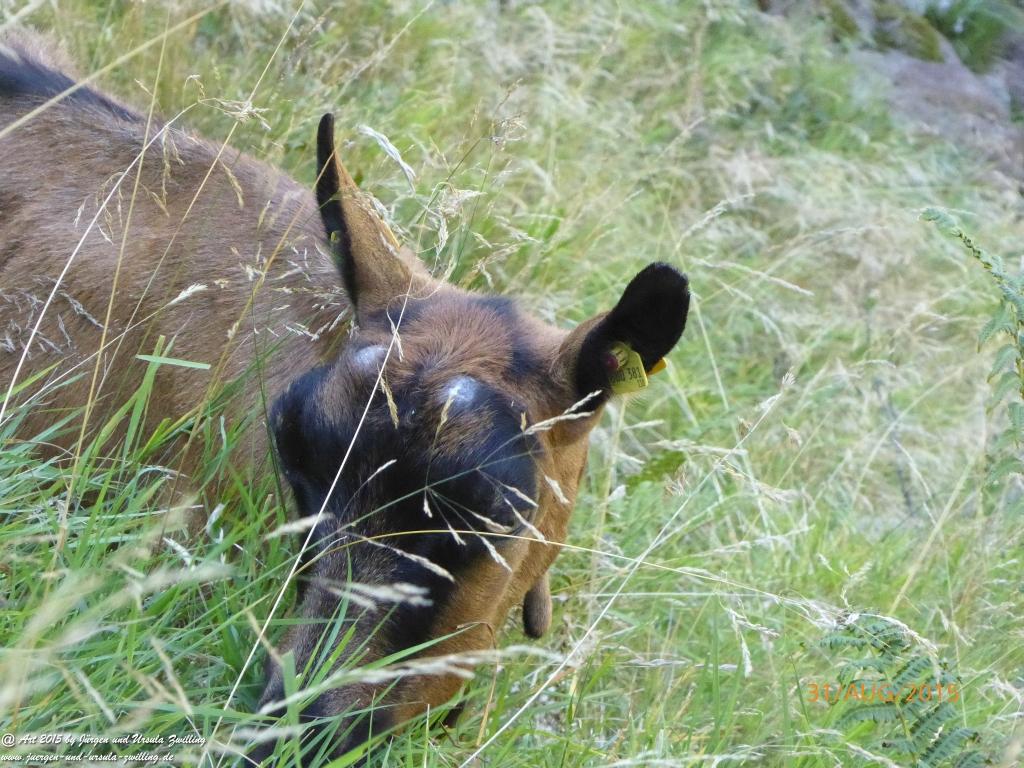 Philosophische Bildwanderung Nürnberger Hütte im Stubaital