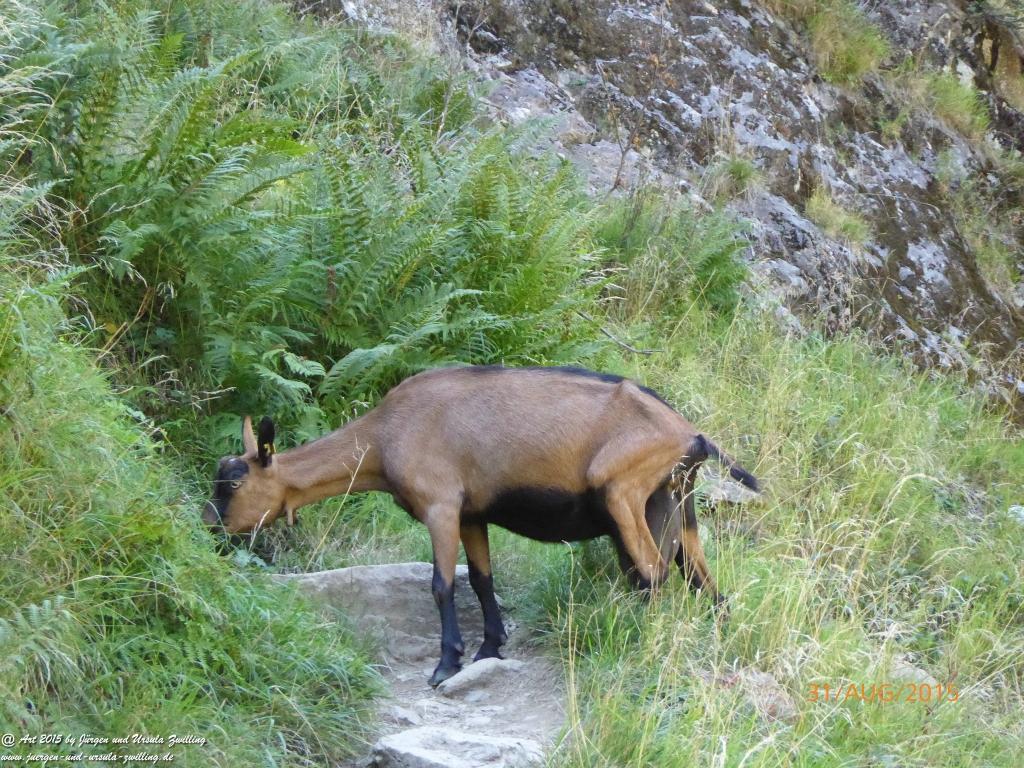 Philosophische Bildwanderung Nürnberger Hütte im Stubaital