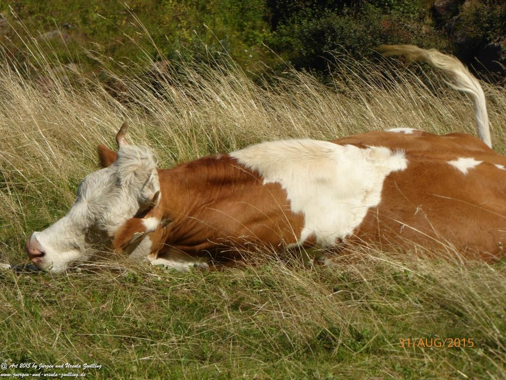 Philosophische Bildwanderung Nürnberger Hütte im Stubaital