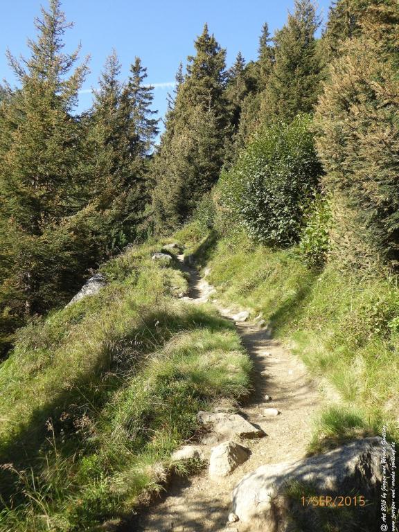Philosophische Bildwanderung Franz Senn Hütte- Neustift in Tirol - Stubaital - Österreich