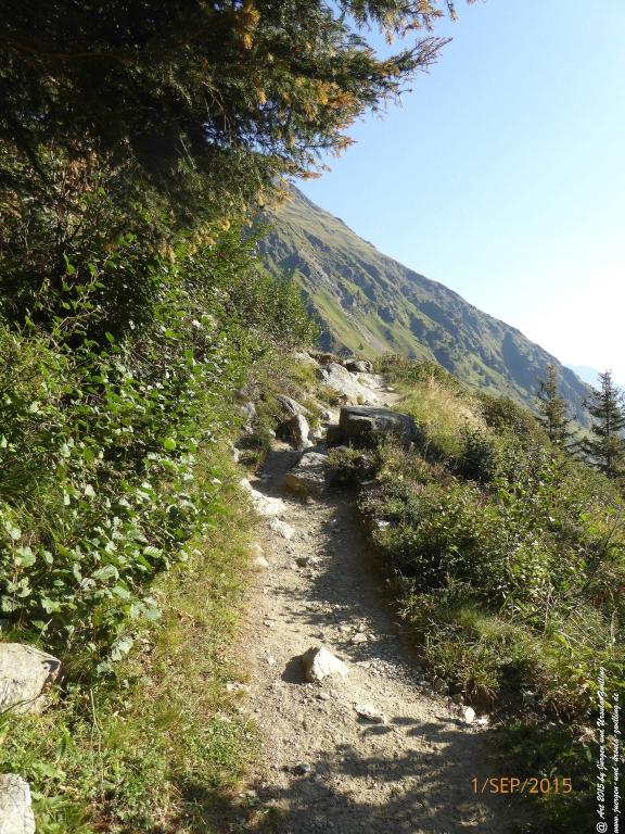 Philosophische Bildwanderung Franz Senn Hütte- Neustift in Tirol - Stubaital - Österreich