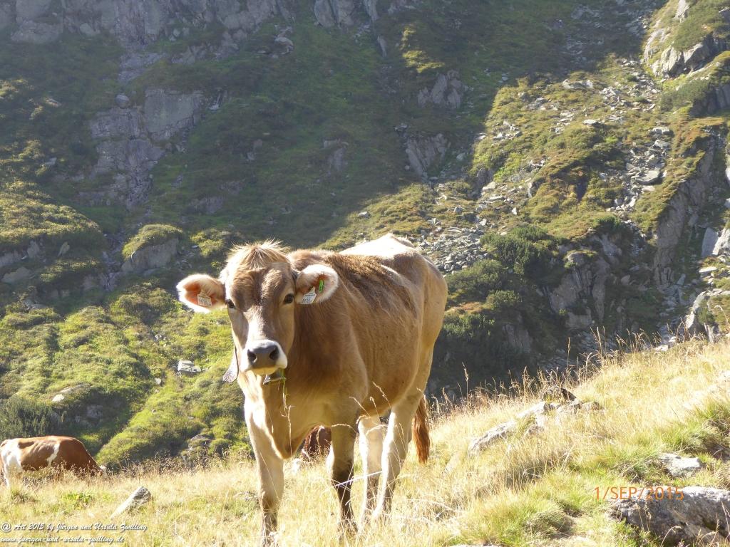 Philosophische Bildwanderung Franz Senn Hütte- Neustift in Tirol - Stubaital - Österreich