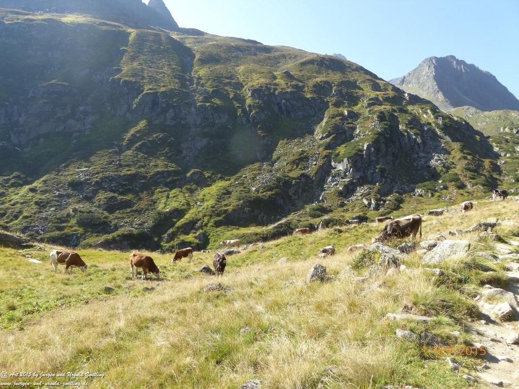 Philosophische Bildwanderung Franz Senn Hütte- Neustift in Tirol - Stubaital - Österreich