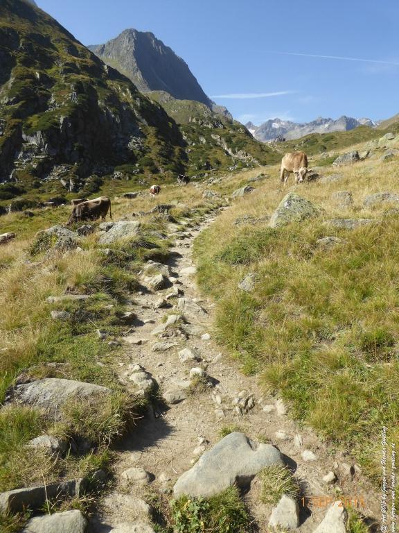 Philosophische Bildwanderung Franz Senn Hütte- Neustift in Tirol - Stubaital - Österreich