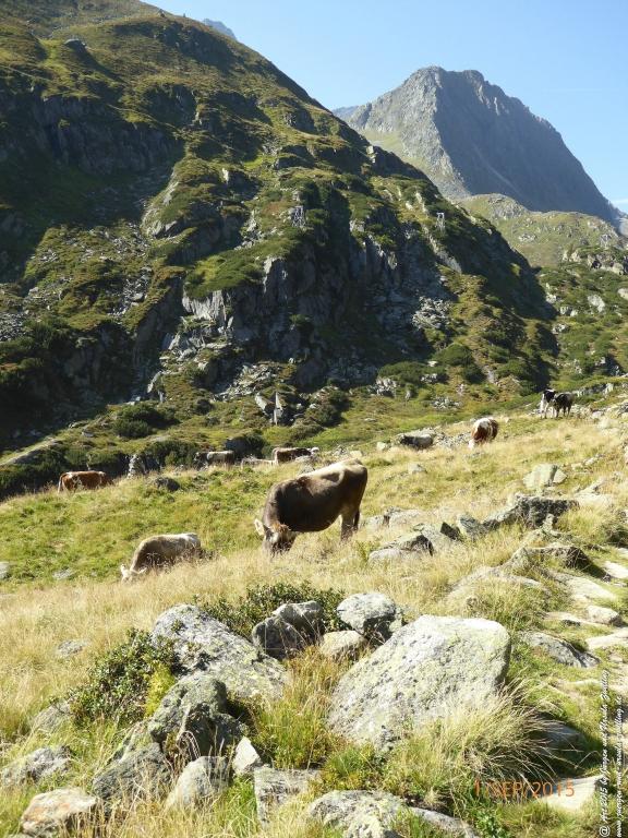 Philosophische Bildwanderung Franz Senn Hütte- Neustift in Tirol - Stubaital - Österreich