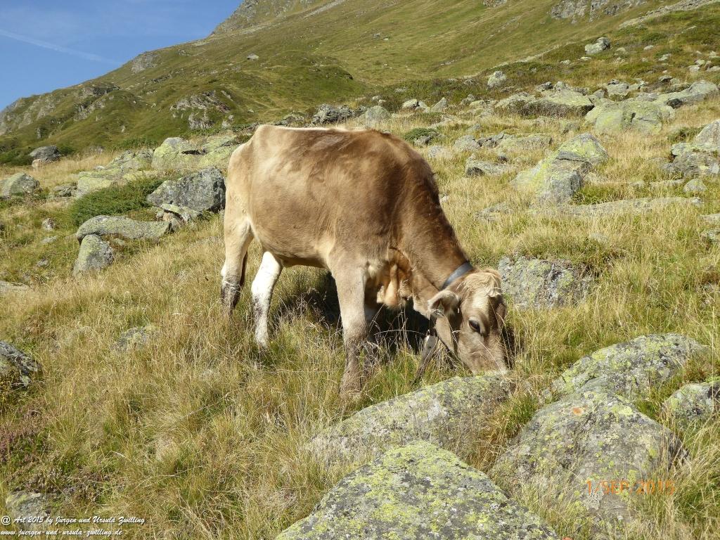 Philosophische Bildwanderung Franz Senn Hütte- Neustift in Tirol - Stubaital - Österreich