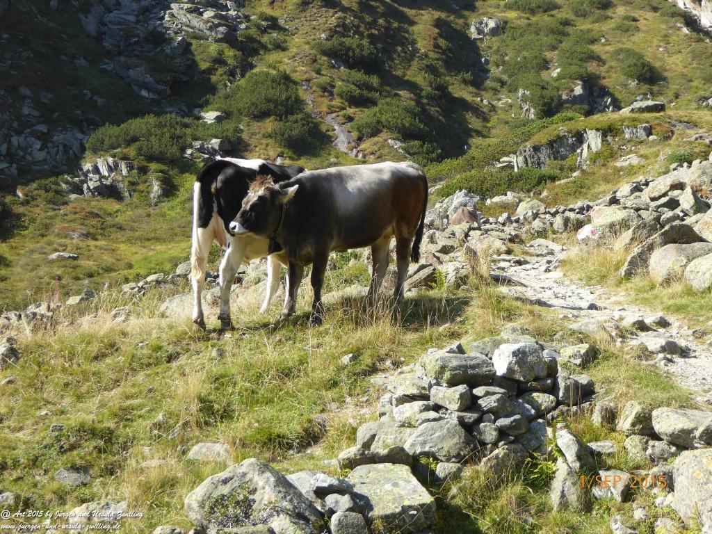 Philosophische Bildwanderung Franz Senn Hütte- Neustift in Tirol - Stubaital - Österreich