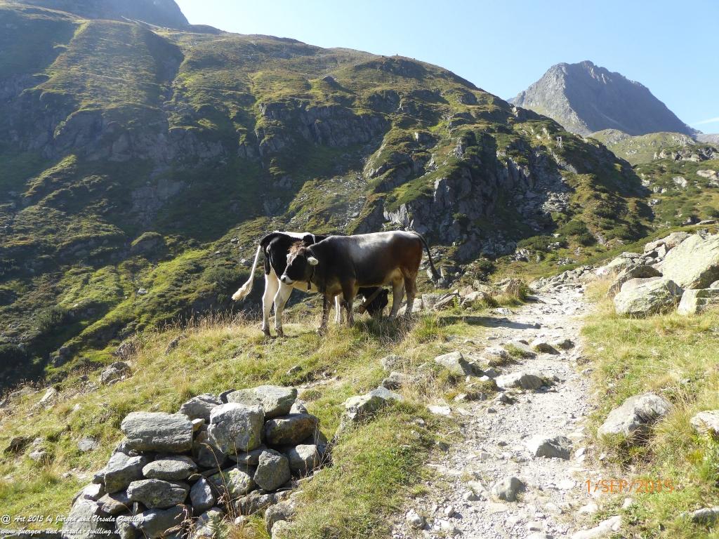 Philosophische Bildwanderung Franz Senn Hütte- Neustift in Tirol - Stubaital - Österreich