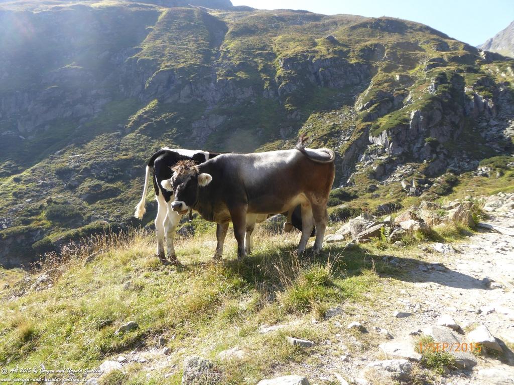 Philosophische Bildwanderung Franz Senn Hütte- Neustift in Tirol - Stubaital - Österreich