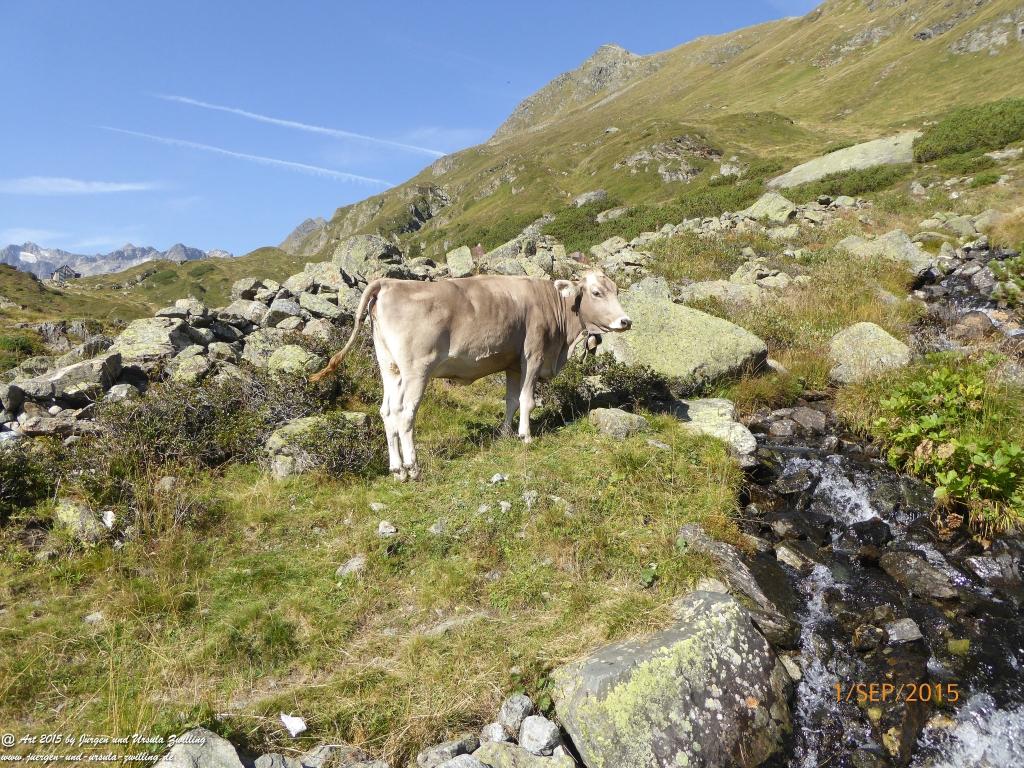 Philosophische Bildwanderung Franz Senn Hütte- Neustift in Tirol - Stubaital - Österreich
