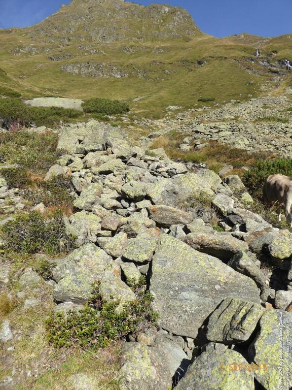 Philosophische Bildwanderung Franz Senn Hütte- Neustift in Tirol - Stubaital - Österreich