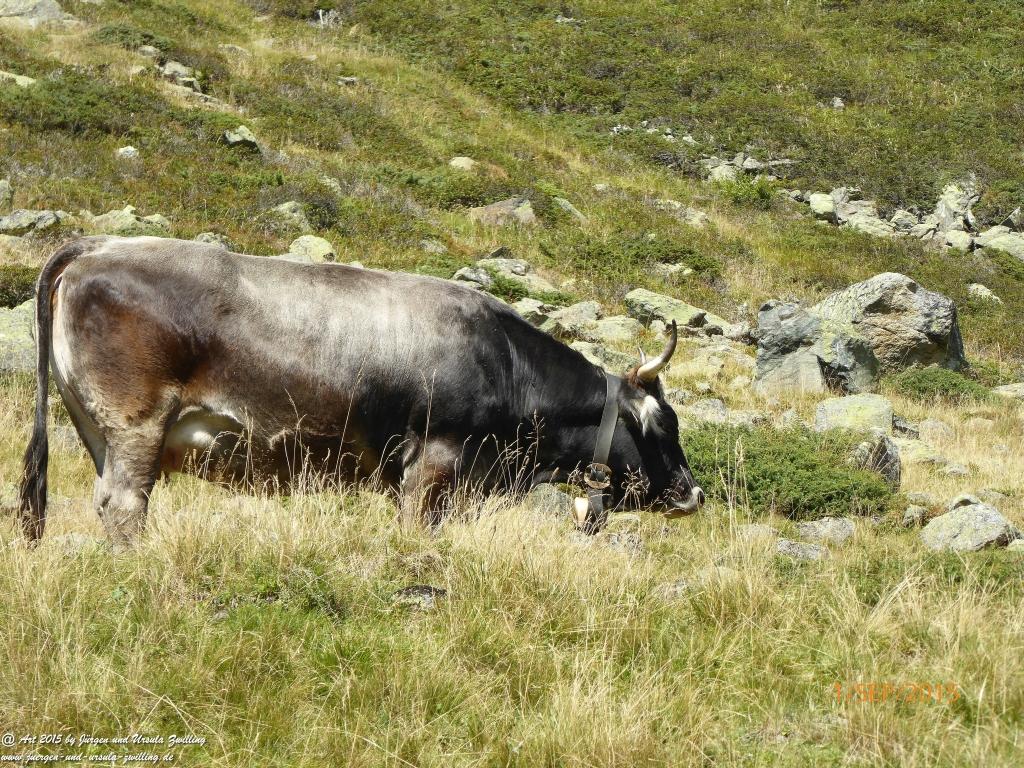 Philosophische Bildwanderung Franz Senn Hütte- Neustift in Tirol - Stubaital - Österreich