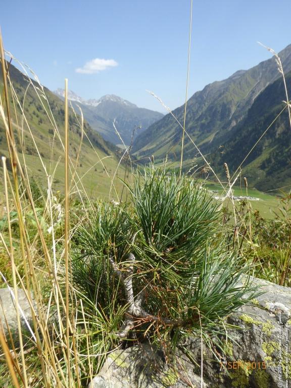 Philosophische Bildwanderung Franz Senn Hütte- Neustift in Tirol - Stubaital - Österreich