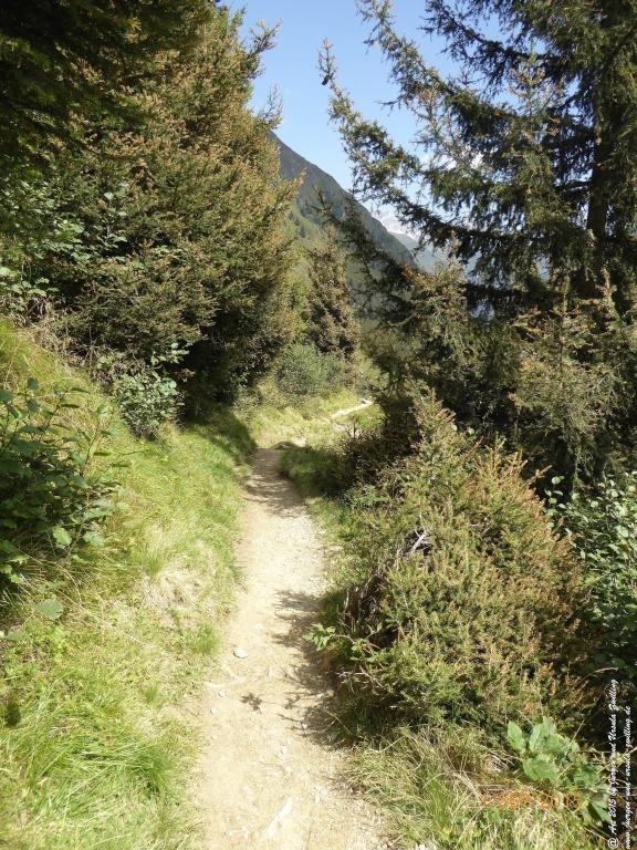 Philosophische Bildwanderung Franz Senn Hütte- Neustift in Tirol - Stubaital - Österreich