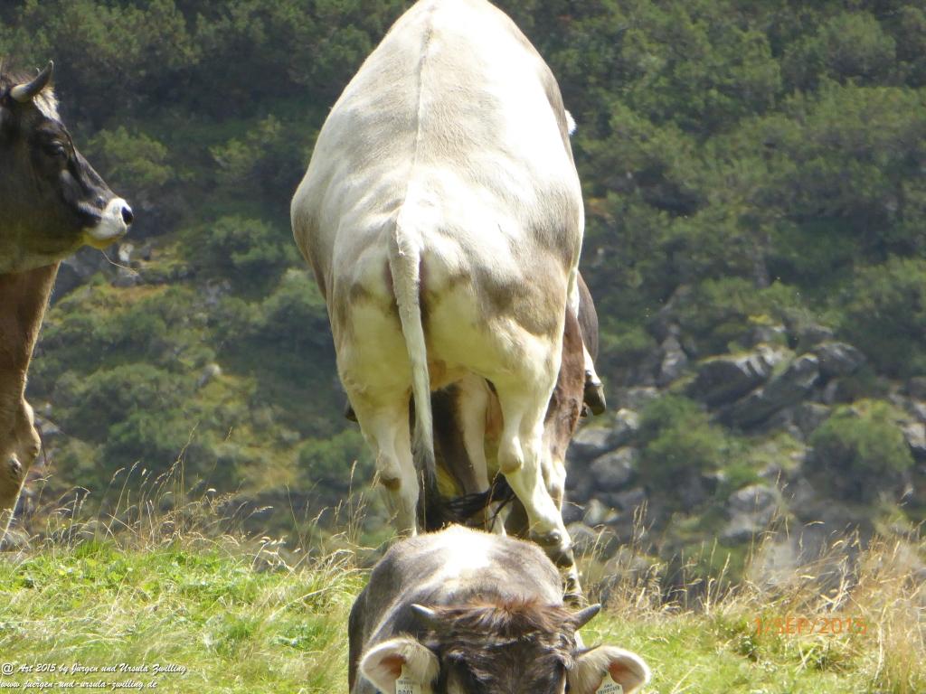 Philosophische Bildwanderung Franz Senn Hütte- Neustift in Tirol - Stubaital - Österreich