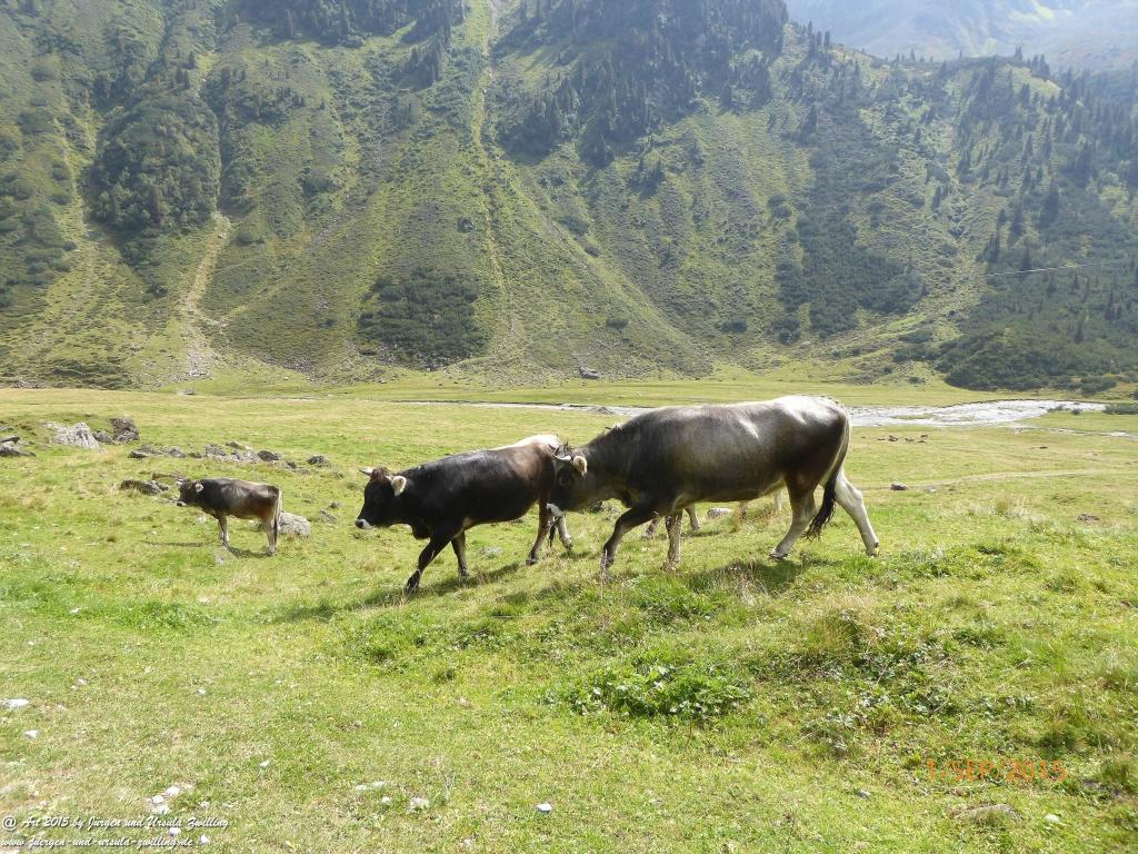 Philosophische Bildwanderung Franz Senn Hütte- Neustift in Tirol - Stubaital - Österreich