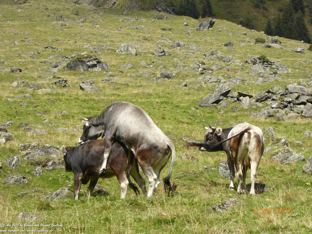 Philosophische Bildwanderung Franz Senn Hütte- Neustift in Tirol - Stubaital - Österreich