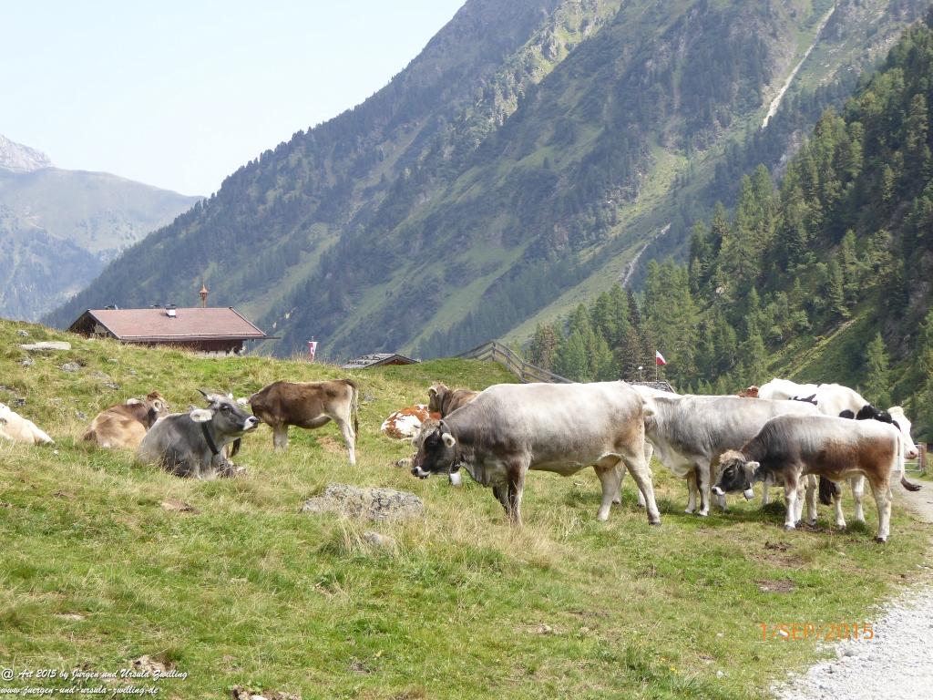 Philosophische Bildwanderung Franz Senn Hütte- Neustift in Tirol - Stubaital - Österreich