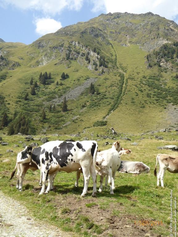 Philosophische Bildwanderung Franz Senn Hütte- Neustift in Tirol - Stubaital - Österreich