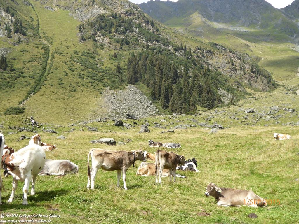 Philosophische Bildwanderung Franz Senn Hütte- Neustift in Tirol - Stubaital - Österreich