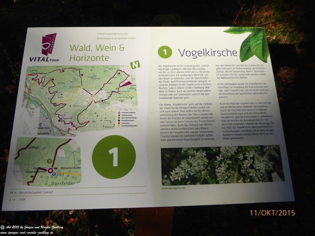 Philosophische Bildwanderung Vitaltour-Wald-Wein-Horizonte - Nahe - Hunsrück - Soonwald