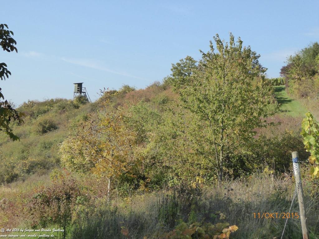 Philosophische Bildwanderung Vitaltour-Wald-Wein-Horizonte - Nahe - Hunsrück - Soonwald