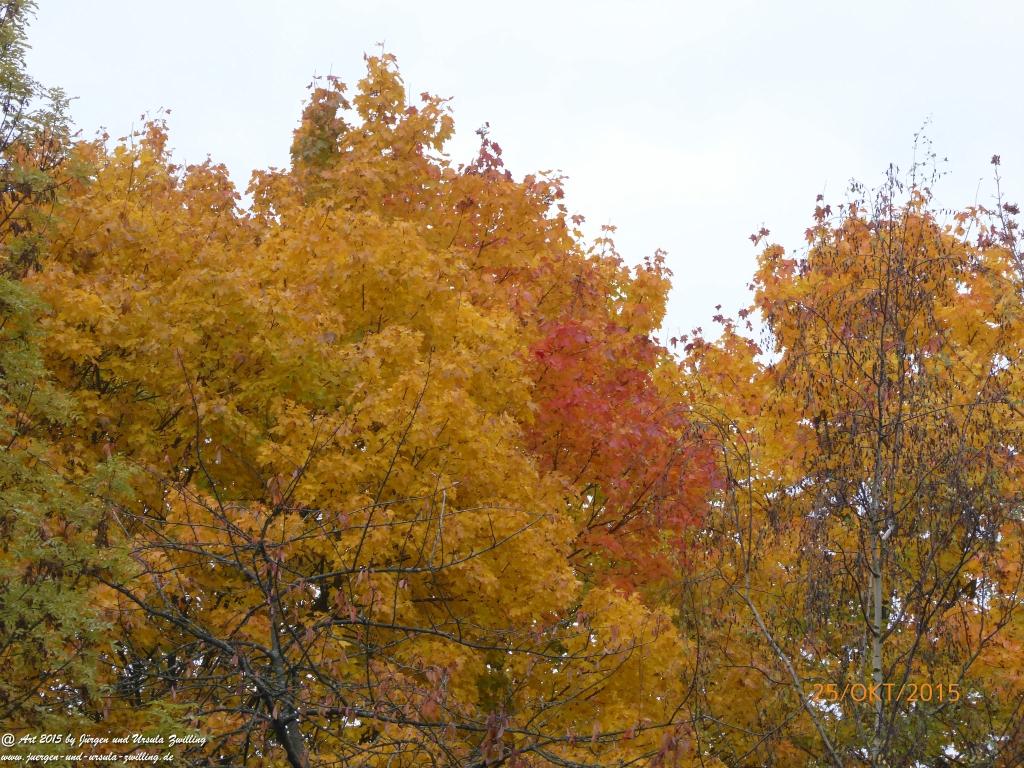 Herbst - Impressionen im Ober Olmer Wald - Rheinhessen
