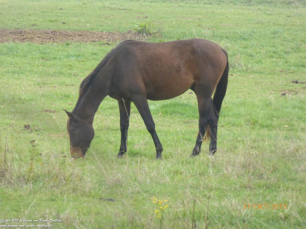 Philosophische Bildwanderung Rhein-Nahe-Schleife