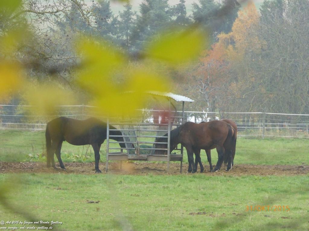 Philosophische Bildwanderung Rhein-Nahe-Schleife
