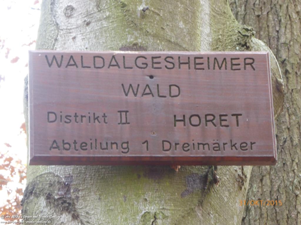 Philosophische Bildwanderung Rhein-Nahe-Schleife