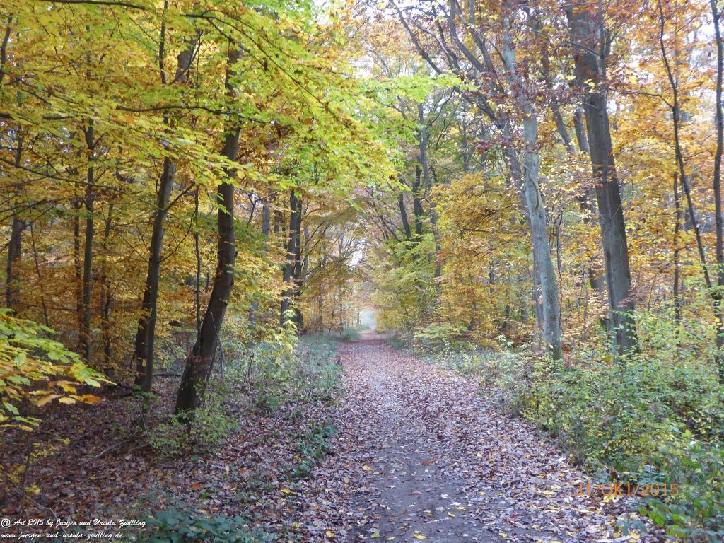 Philosophische Bildwanderung Rhein-Nahe-Schleife
