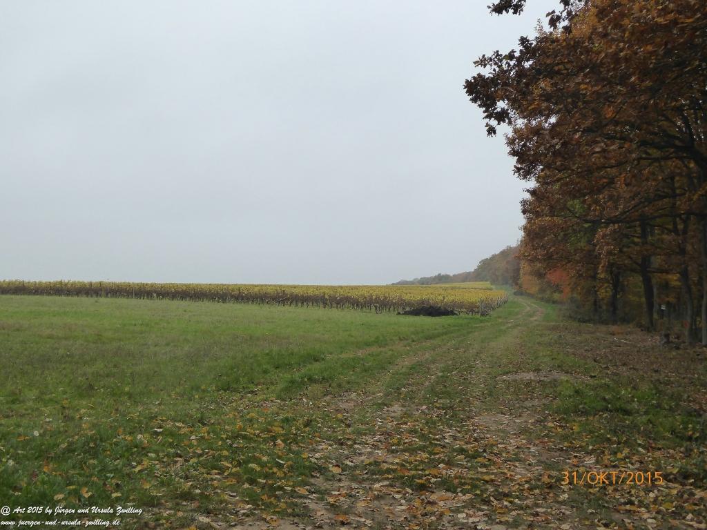 Philosophische Bildwanderung Rhein-Nahe-Schleife
