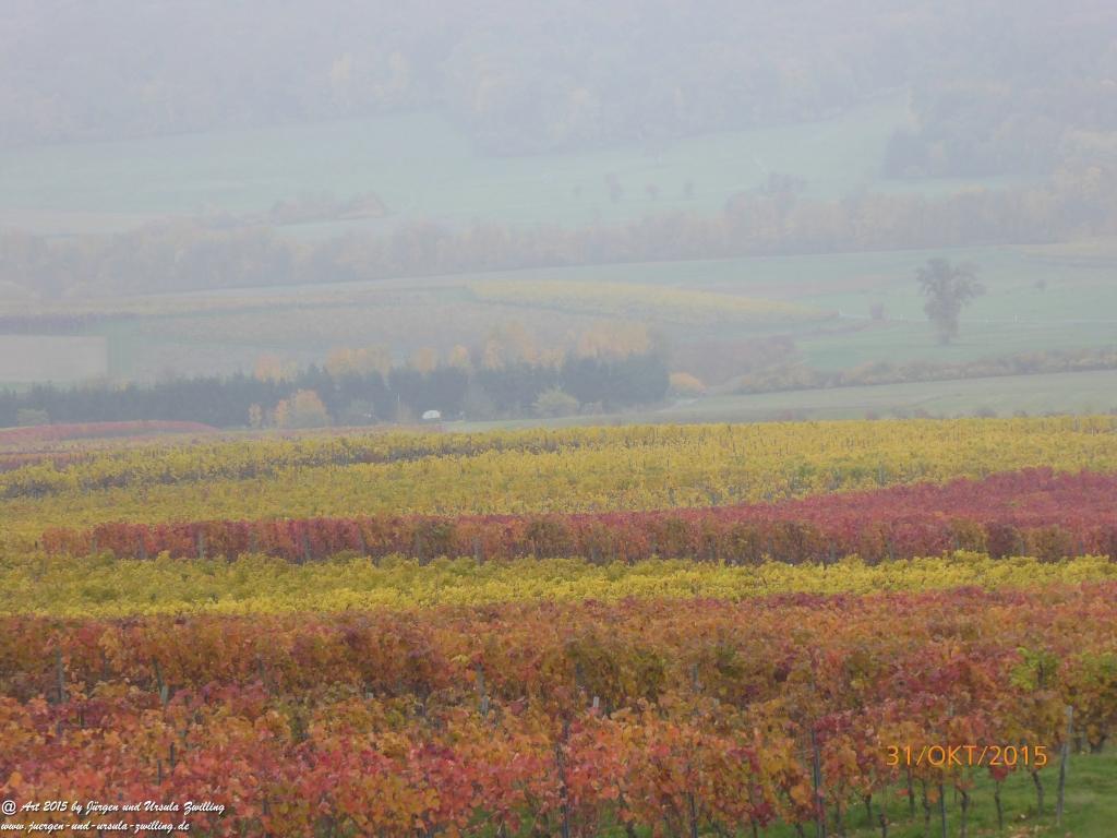 Philosophische Bildwanderung Rhein-Nahe-Schleife