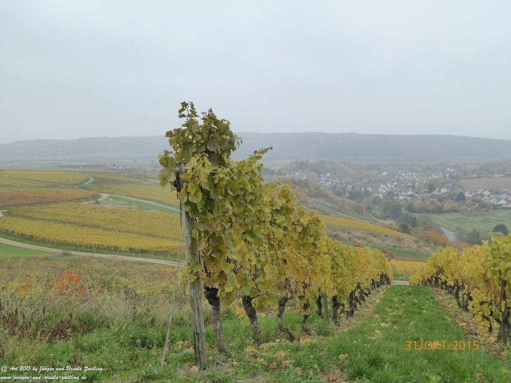 Philosophische Bildwanderung Rhein-Nahe-Schleife