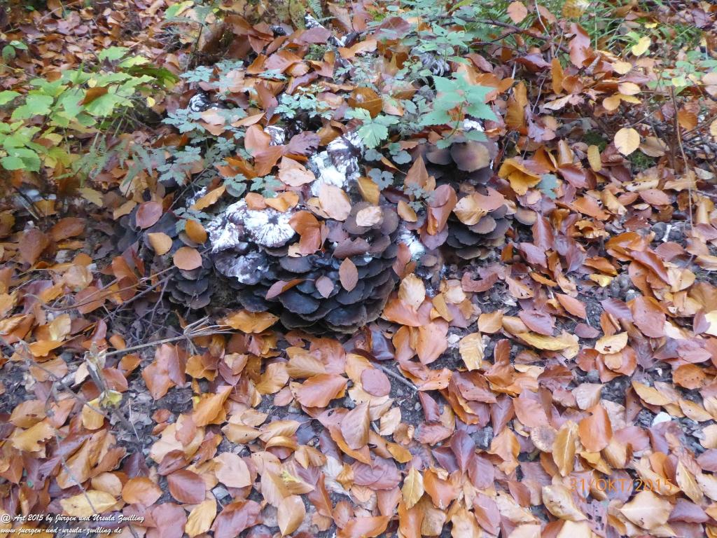 Philosophische Bildwanderung Rhein-Nahe-Schleife