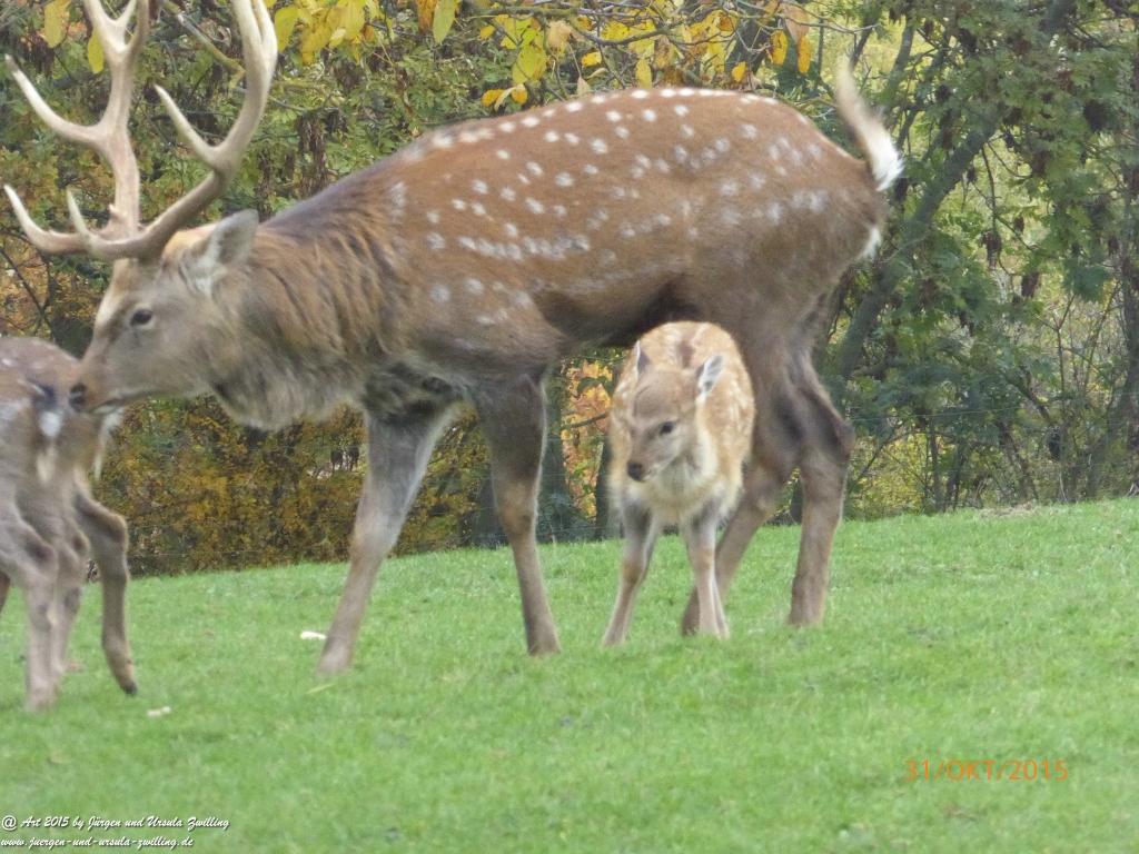 Philosophische Bildwanderung Rhein-Nahe-Schleife