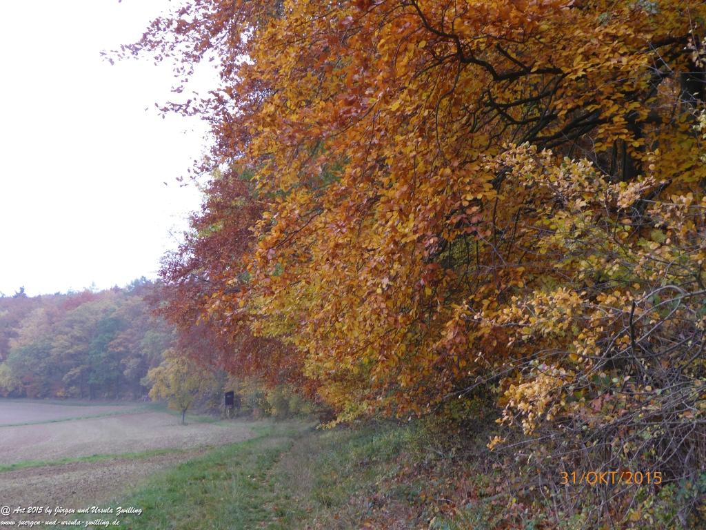 Philosophische Bildwanderung Rhein-Nahe-Schleife
