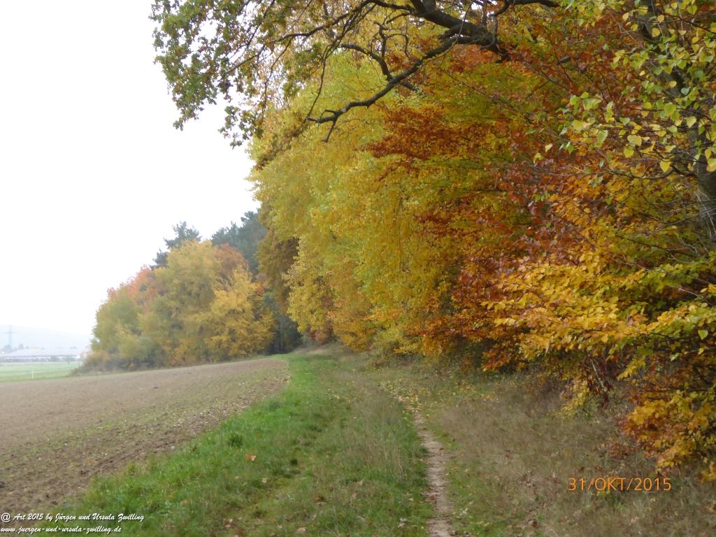 Philosophische Bildwanderung Rhein-Nahe-Schleife