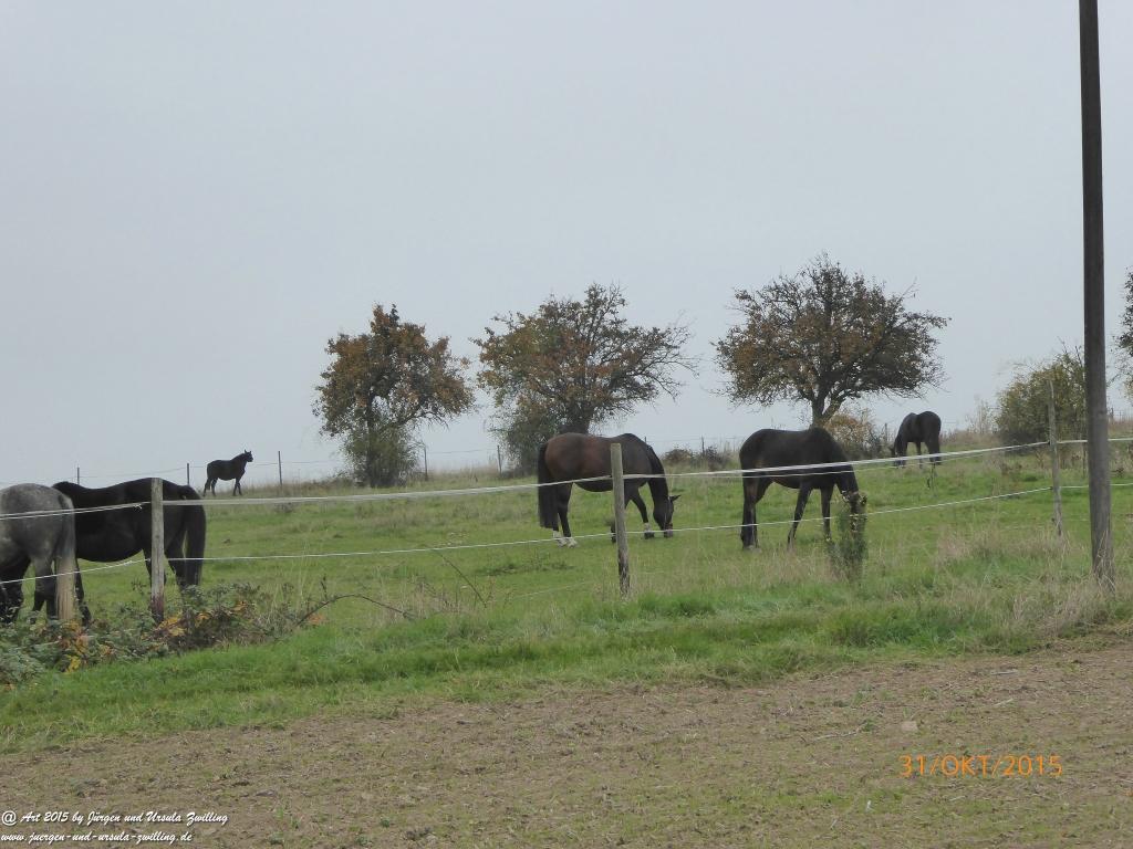 Philosophische Bildwanderung Rhein-Nahe-Schleife