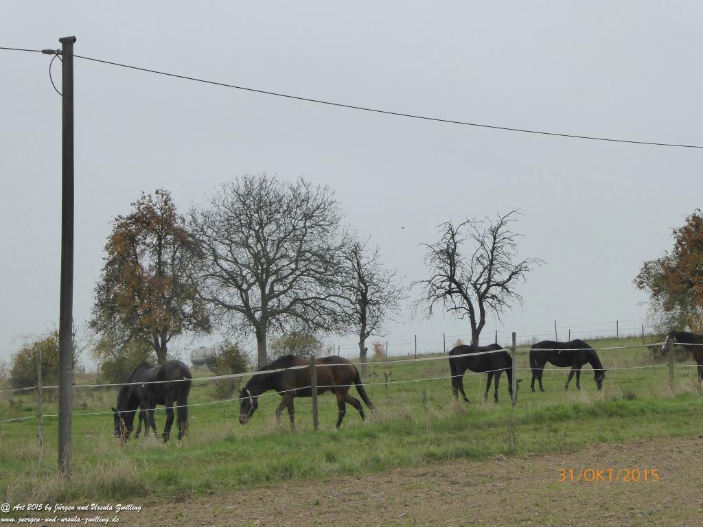 Philosophische Bildwanderung Rhein-Nahe-Schleife