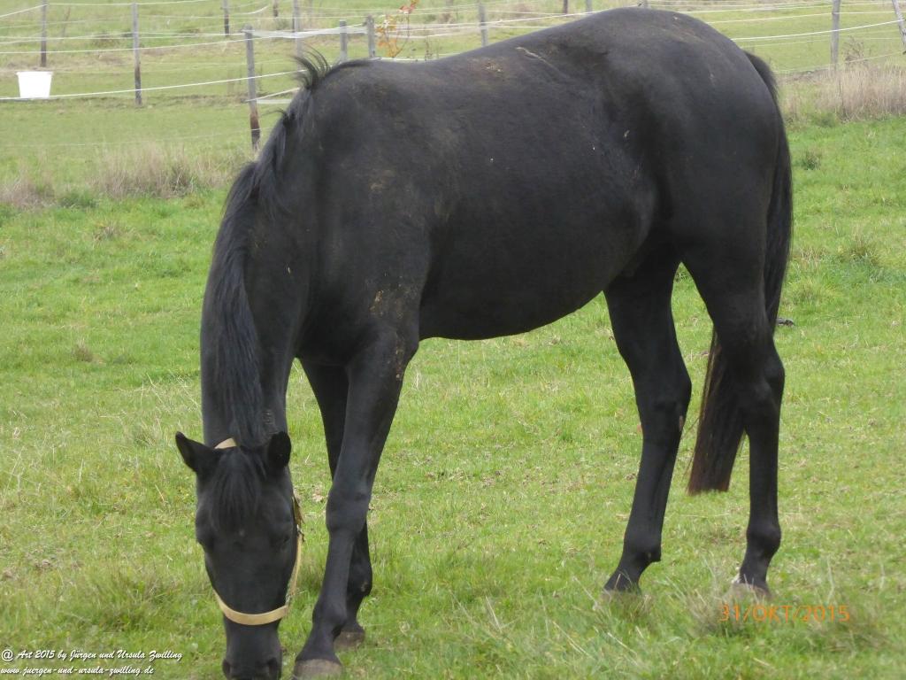 Philosophische Bildwanderung Rhein-Nahe-Schleife