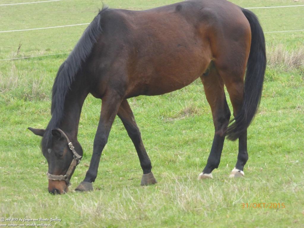 Philosophische Bildwanderung Rhein-Nahe-Schleife