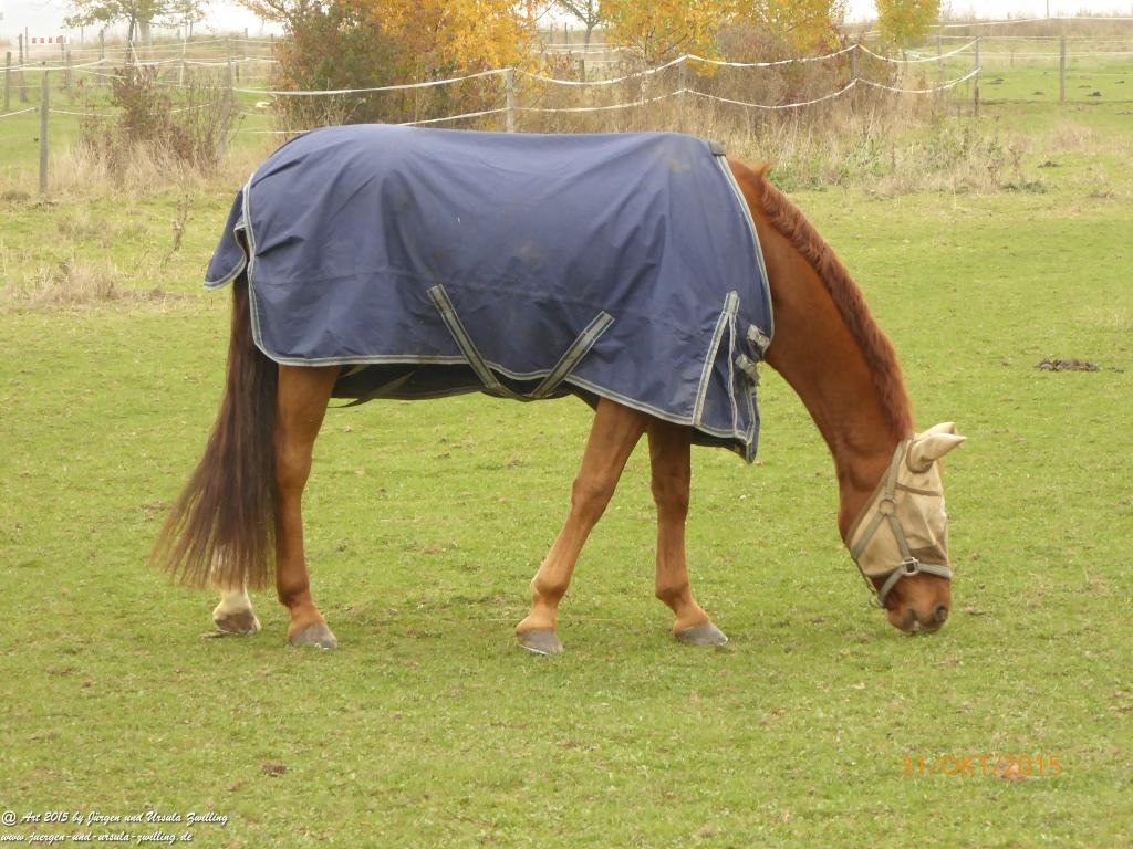Philosophische Bildwanderung Rhein-Nahe-Schleife